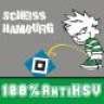 werderiloveyou05